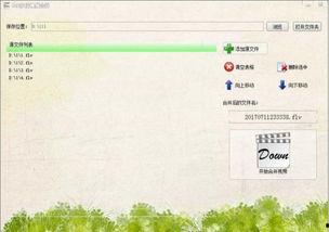 视频下载高手,轻松掌握高效下载技巧