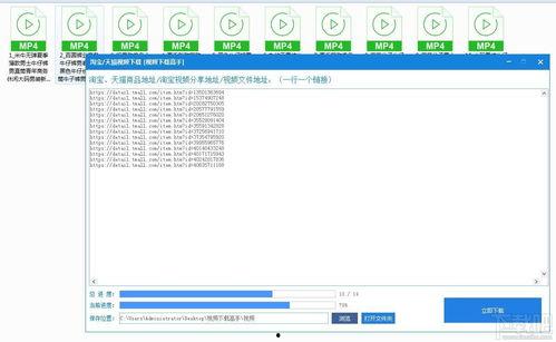 视频下载高手,轻松掌握高效下载技巧