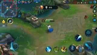 王者甄视频,揭秘游戏背后的精彩故事