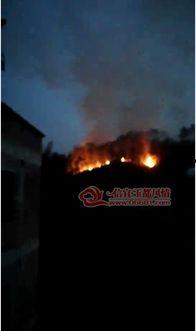 矛三视频3,揭秘神秘力量的神秘面纱