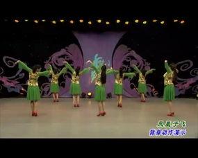 凤凰广场舞视频大全集,舞动人生,乐享晚年