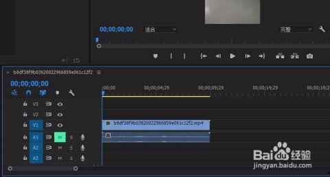 怎样去掉视频的声音,轻松实现无声视频制作
