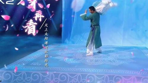 中国宫廷舞蹈视频,探寻古代宫廷舞蹈的华丽篇章