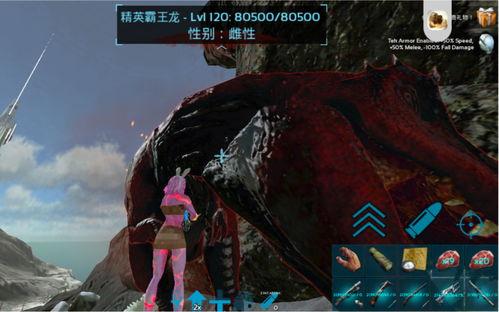 方舟视频,探索未知世界的奇幻之旅