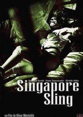 新加坡电影视频,探索狮城电影魅力