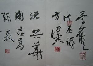 李雁书法视频,笔尖舞动，墨香传承