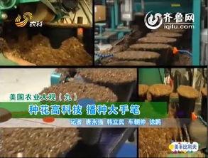 乡村季风视频全集,全景式展现中国乡村变迁与生活画卷